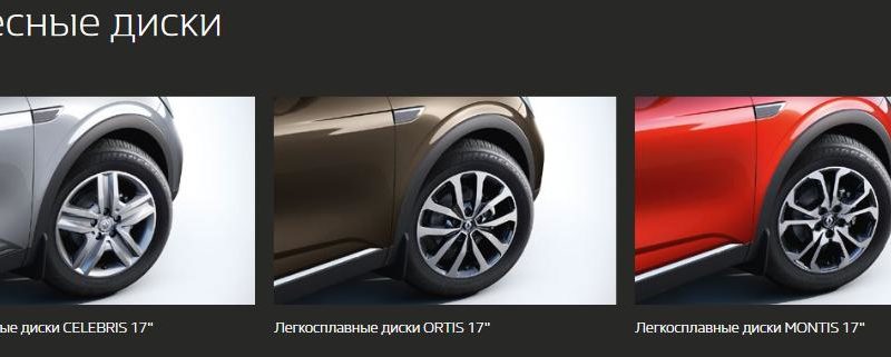 Как сделать детейлинг Renault Arkana в домашних условиях